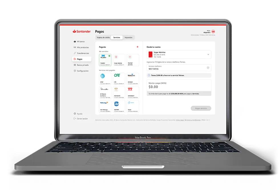 Paga tus servicios desde Santander Web